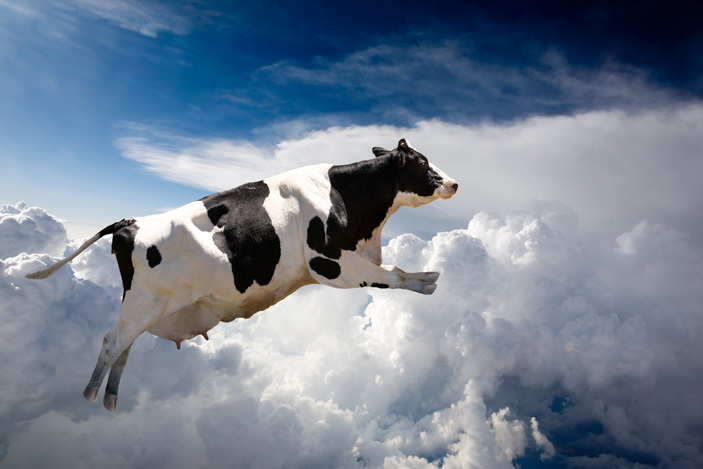 The cow jumped over the ...